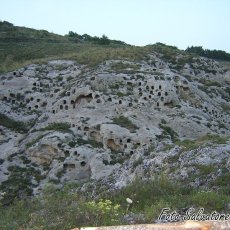 DSCN3229 (Copia)